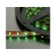 LEDS-5MP/GN