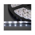 LEDS-5MPE/WS